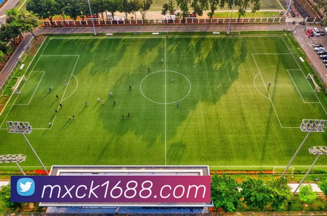 华体会APP 高清赛事图